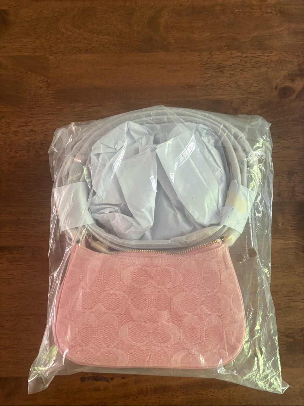Coach Teri Mini Bag In Light Pink Signature Denim NWT - Picture 4 of 4